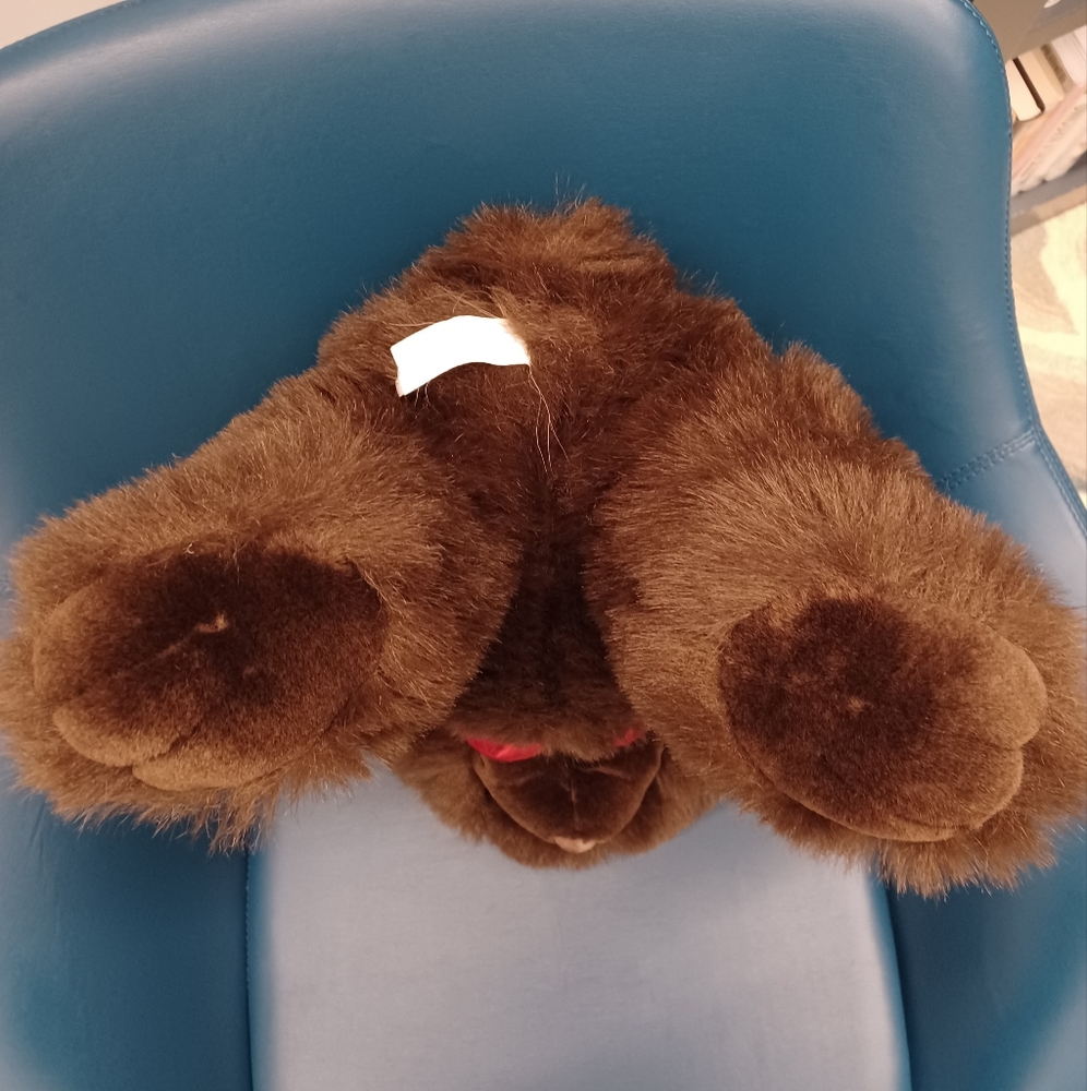 Shanghai Hai li toy Teddy bear red bowtie Brown large  plus stuffed animal - Picture 7 of 9